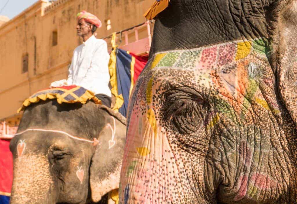 Painted Elephant Waits For Tourists On Elephant Ride India.