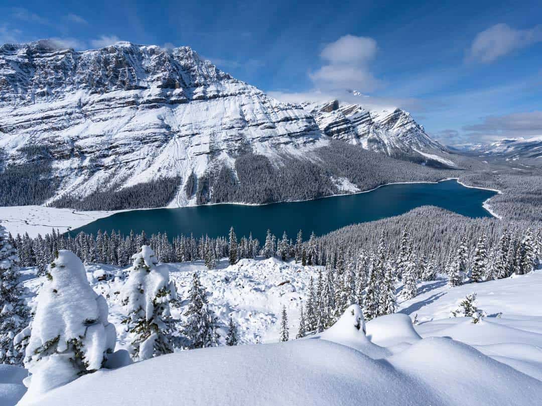 Peyto Lake Icefield Parkway