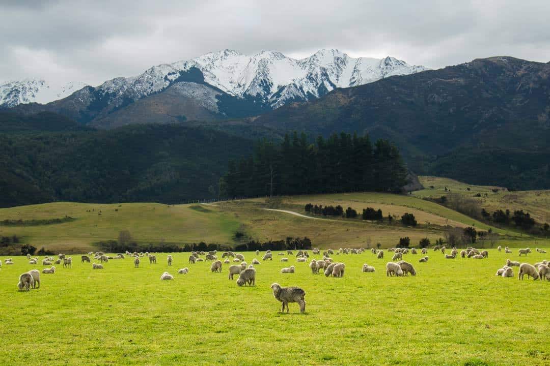 New Zealand South Island Winter