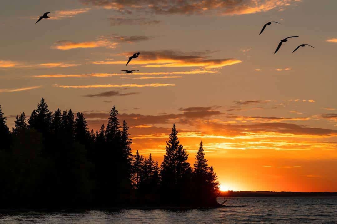 Boat Cruise Clear Lake Manitoba