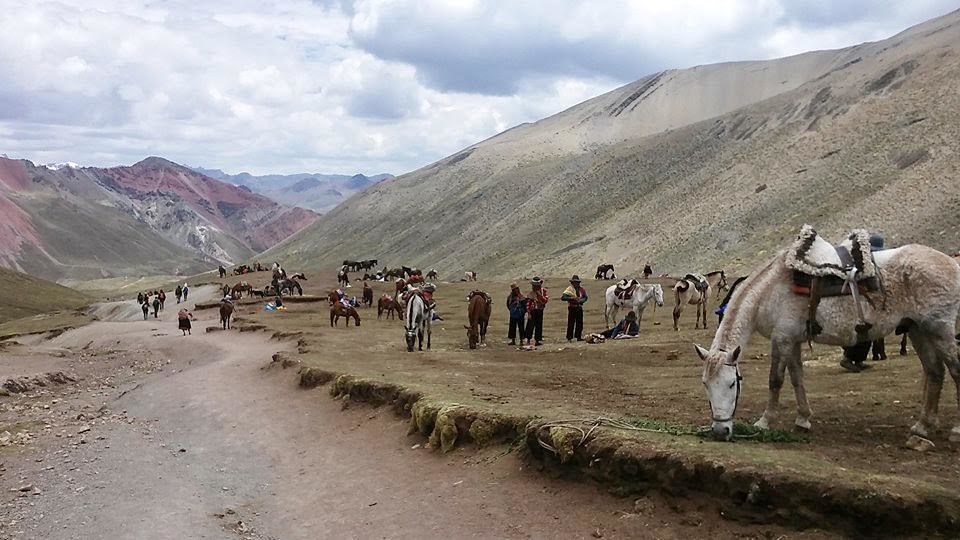 Rainbow Mountain, Horses