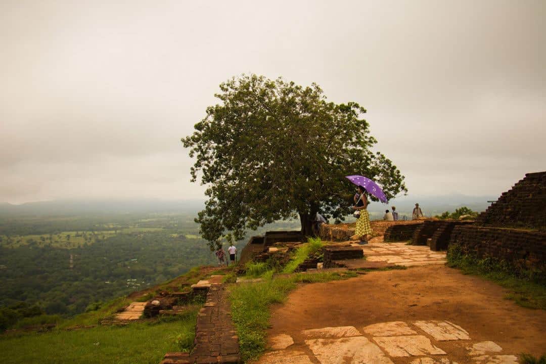 Umbrella Things To Do In Sri Lanka