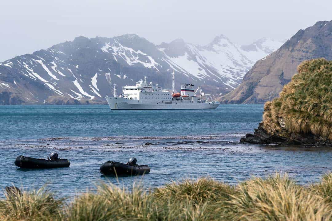 Akademik Vavilov One Ocean Expeditions South Georgia