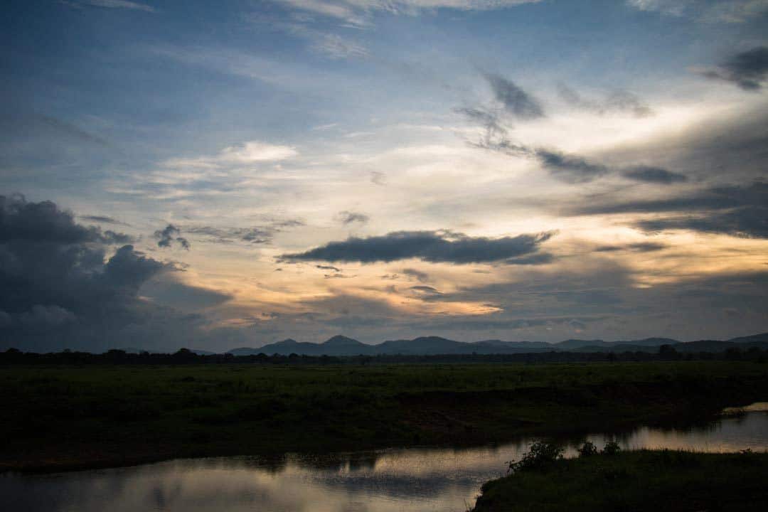 From exploring ancient ruins to carving upwards epic waves The 10 Best Things to Do inwards Sri Lanka (And What Not to Do)