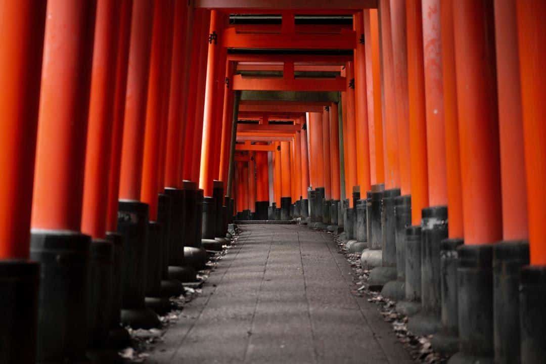 travel guide to japan Places To Visit In Japan