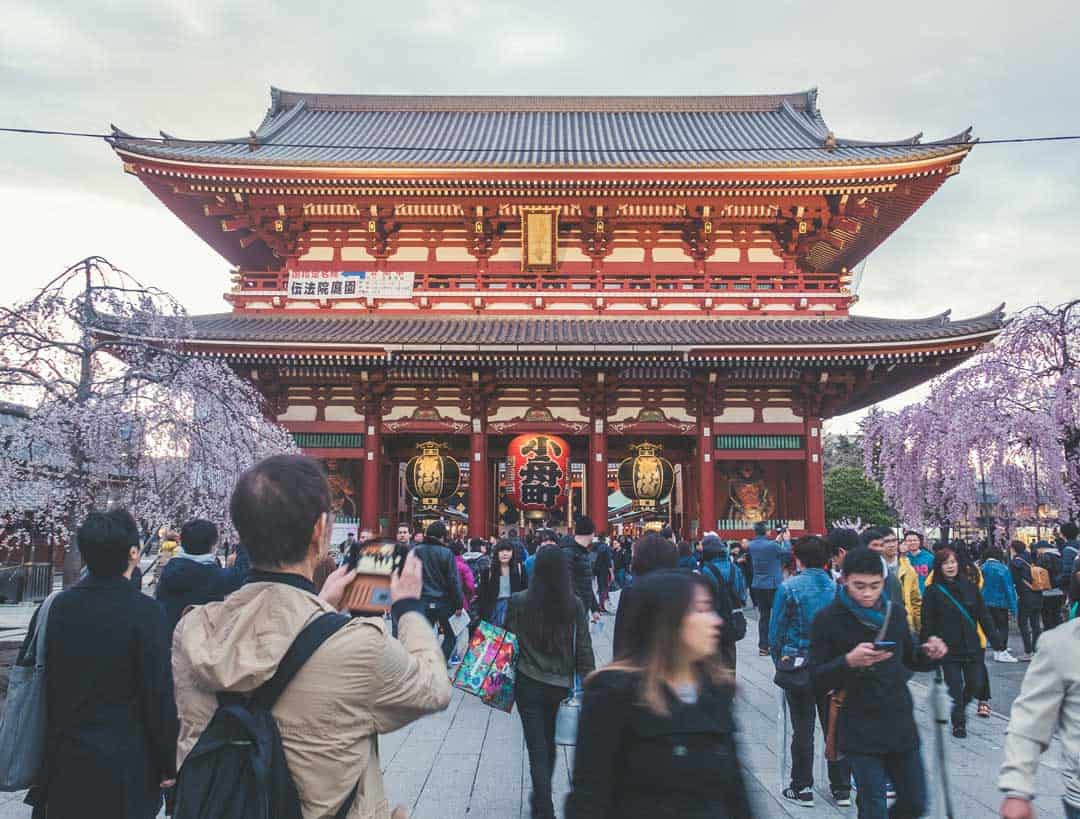 From walking underneath the cherry blossoms at 17 Awesome Things to Do inward Tokyo, Nippon (2019 Edition)