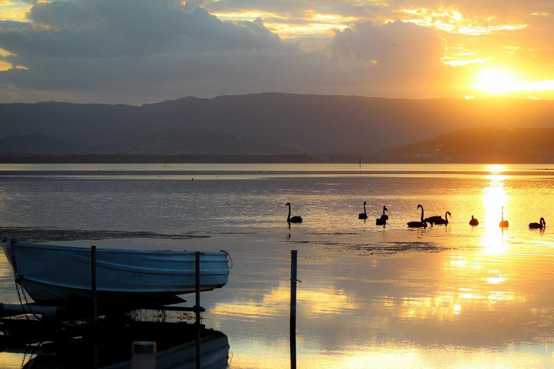 Lake Illawarra, New South Wales