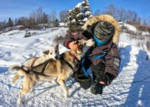 Is Dog Sledding Cruel? The Truth About Dog Mushing Tours