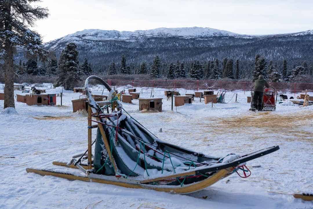 When it comes to things to produce inwards wintertime inwards the Northern Hemisphere Dog Sledding inwards Yukon – The Ultimate Canadian Winter Adventure