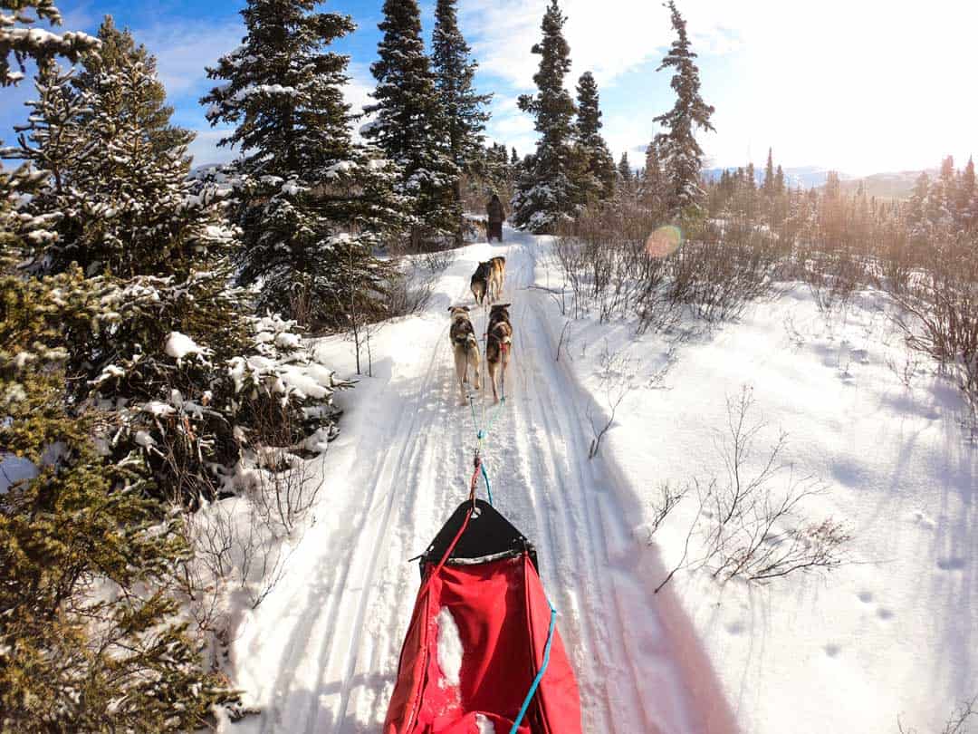 are husky rides cruel