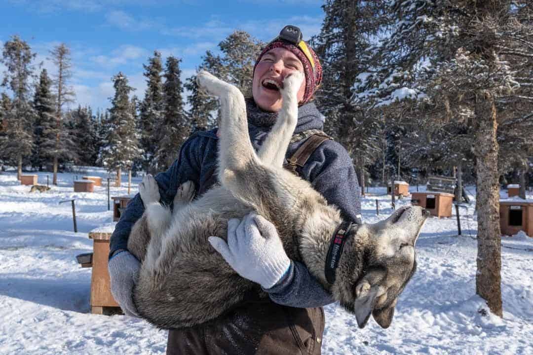 Staff Dogs Hugs