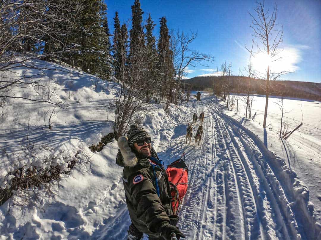 Dog Sledding In The Yukon