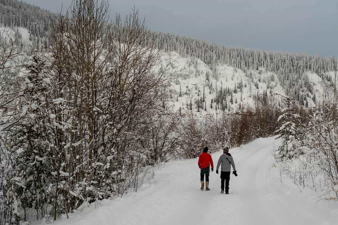 Klondike Experience City Tour