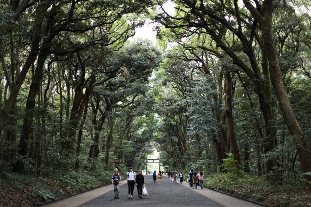 From petting foxes inward the Zao Fox Village to haggling inward Nishiki marketplace 33 Epic Things to Do inward Nippon (In 2019)