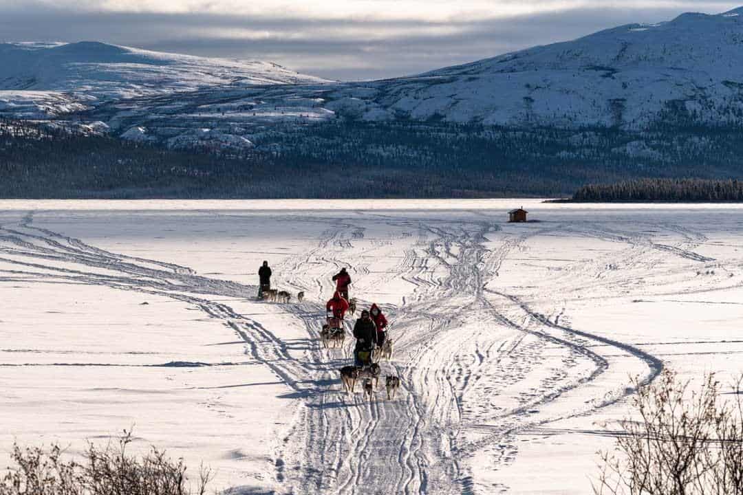 Dog Sledding Fish Lake