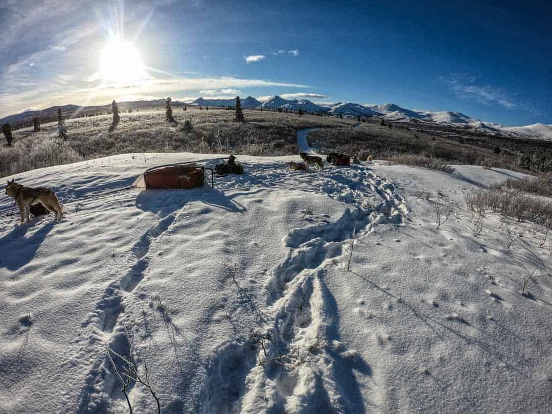 When it comes to things to produce inwards wintertime inwards the Northern Hemisphere Dog Sledding inwards Yukon – The Ultimate Canadian Winter Adventure
