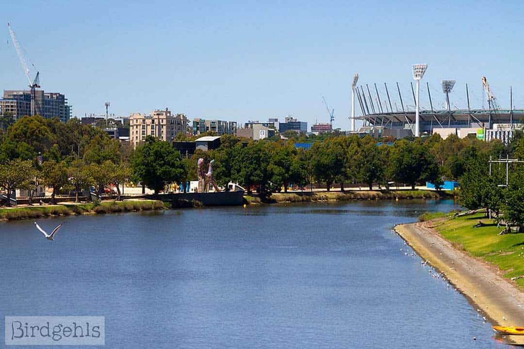 Mcg Melbourne