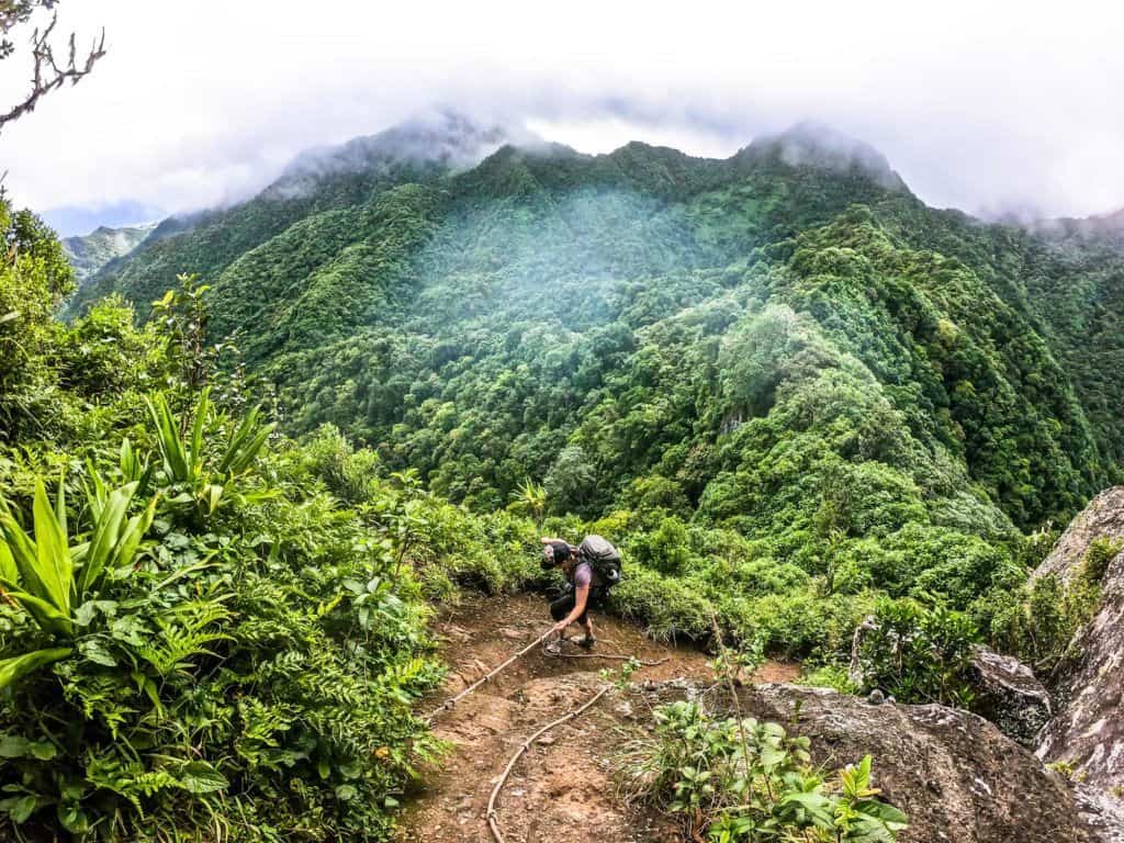 Rarotonga Cross Island Trek