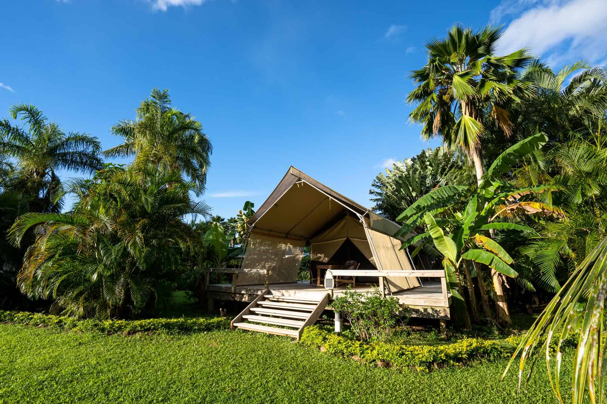 larn virtually the civilisation or continue an adventure 25 Awesome Things to Do inwards Rarotonga, Cook Islands