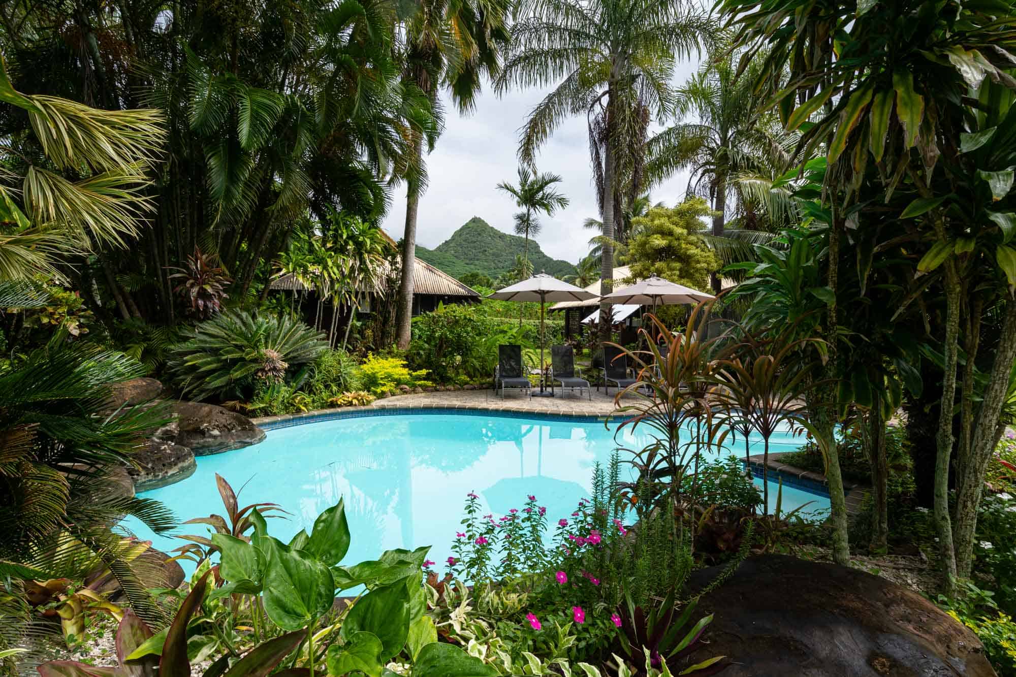 larn virtually the civilisation or continue an adventure 25 Awesome Things to Do inwards Rarotonga, Cook Islands