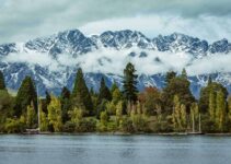 The Ultimate Guide to New Zealand’s South Island in Winter