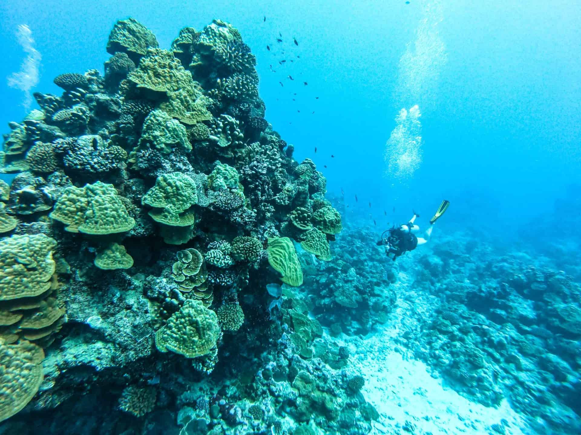 The 25 BEST Things to Do in Rarotonga, Cook Islands [2026]