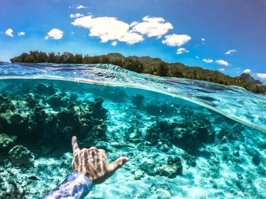 Rarotonga Swimming