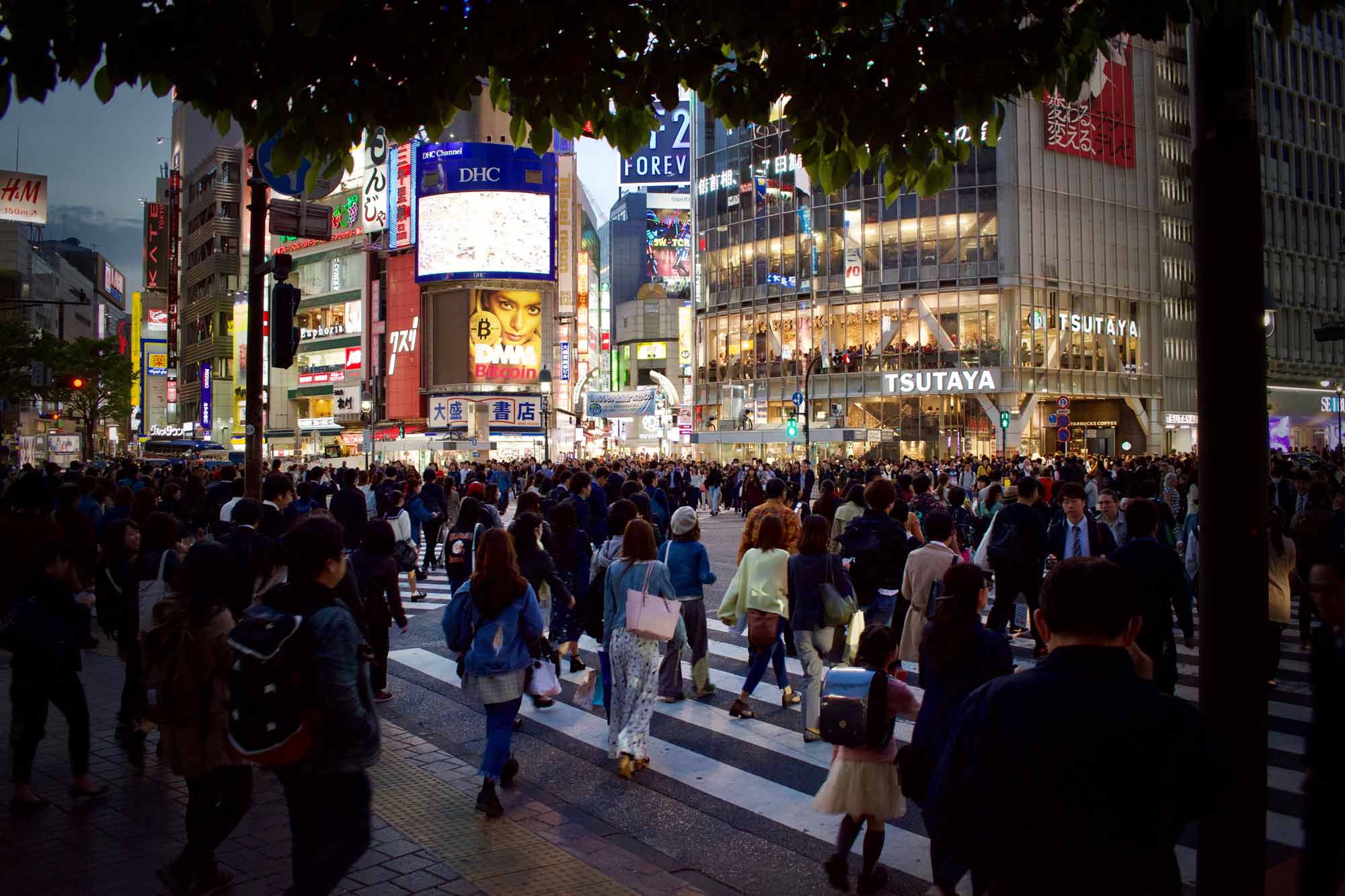 travel guide to japan Things To Do In Tokyo Japan