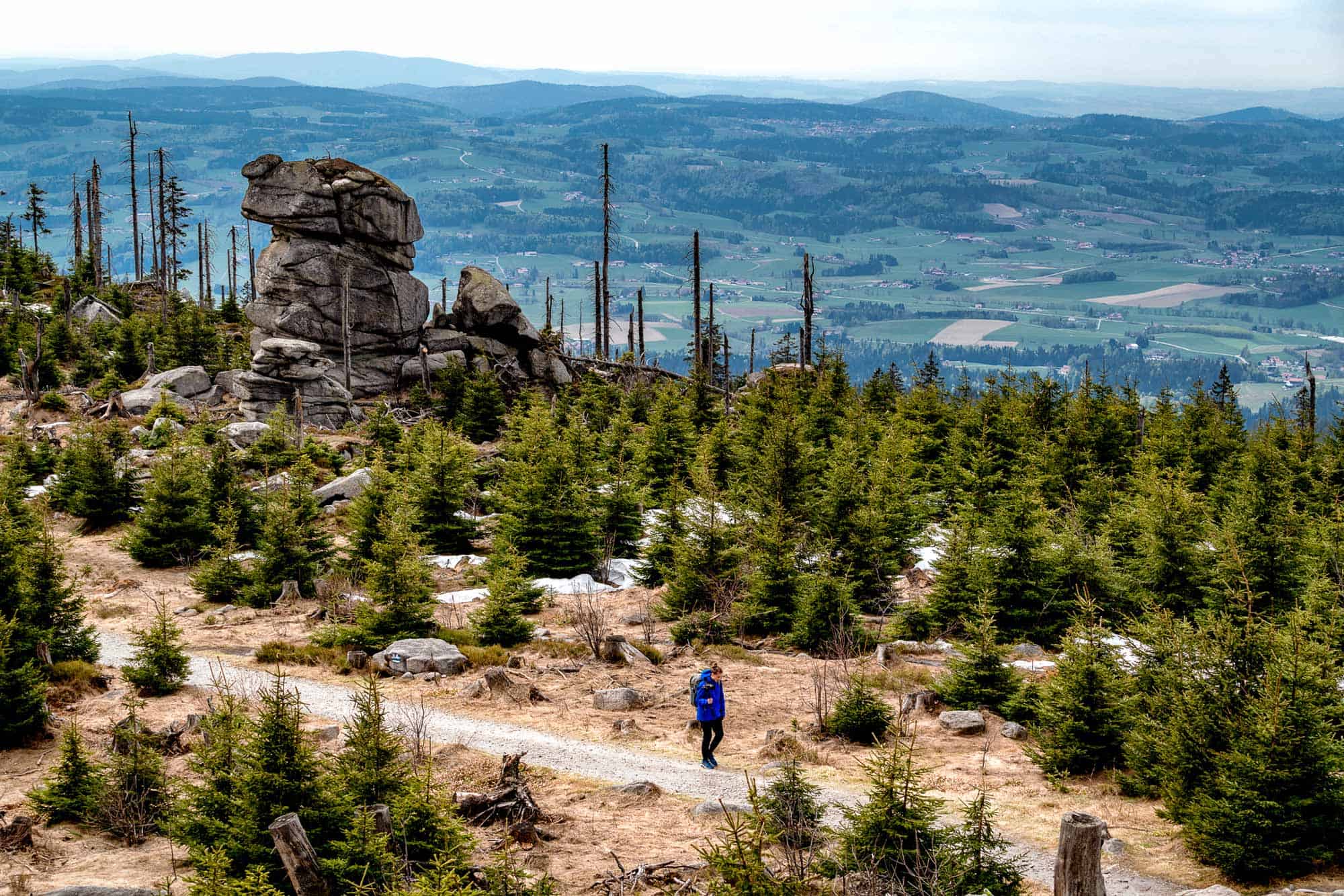 Třístoličník Sumava National Park