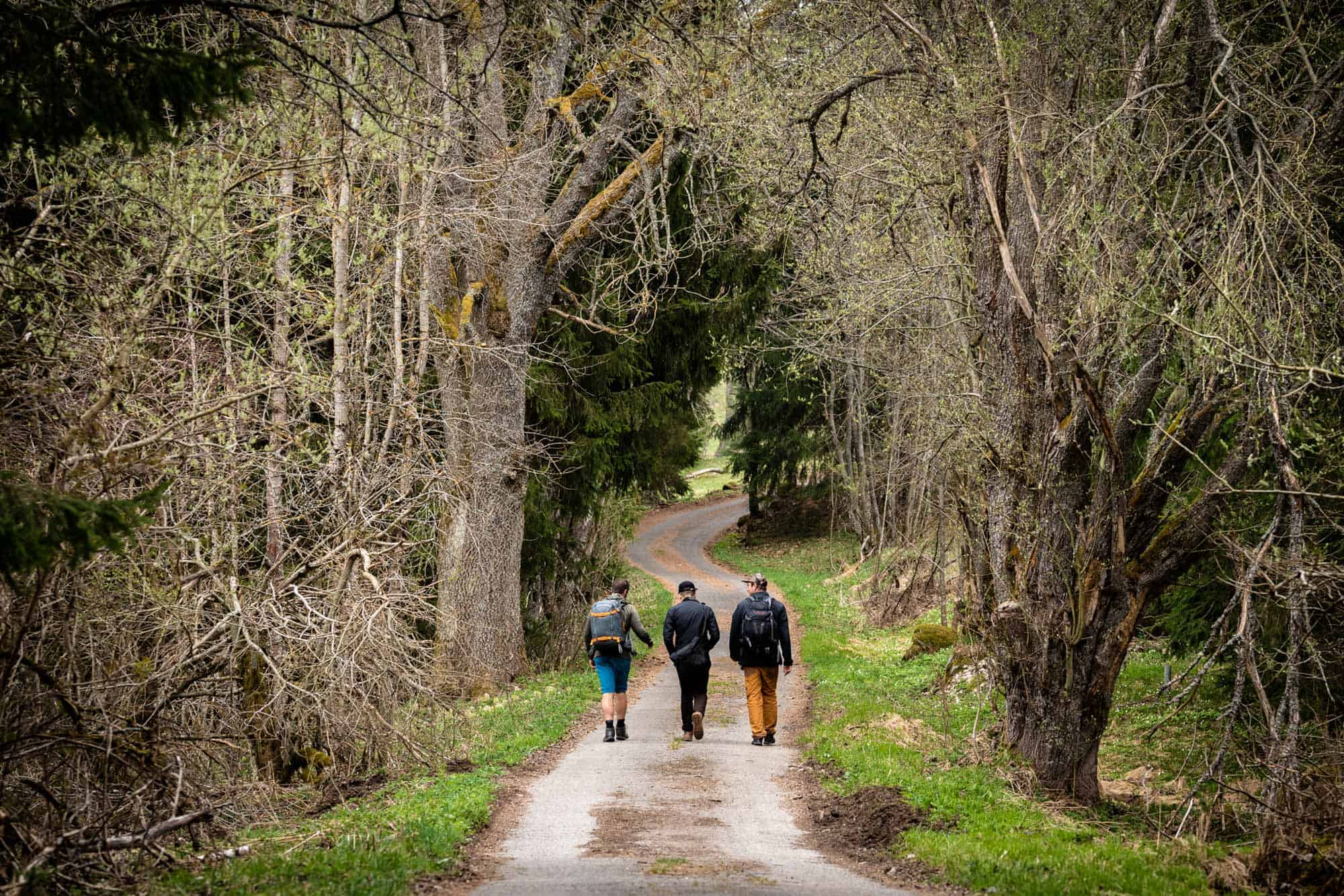 A detailed guide on our South Bohemia itinerary together with route trip through Czechia South Bohemia Itinerary – Sustainable Tourism inwards Czech Republic