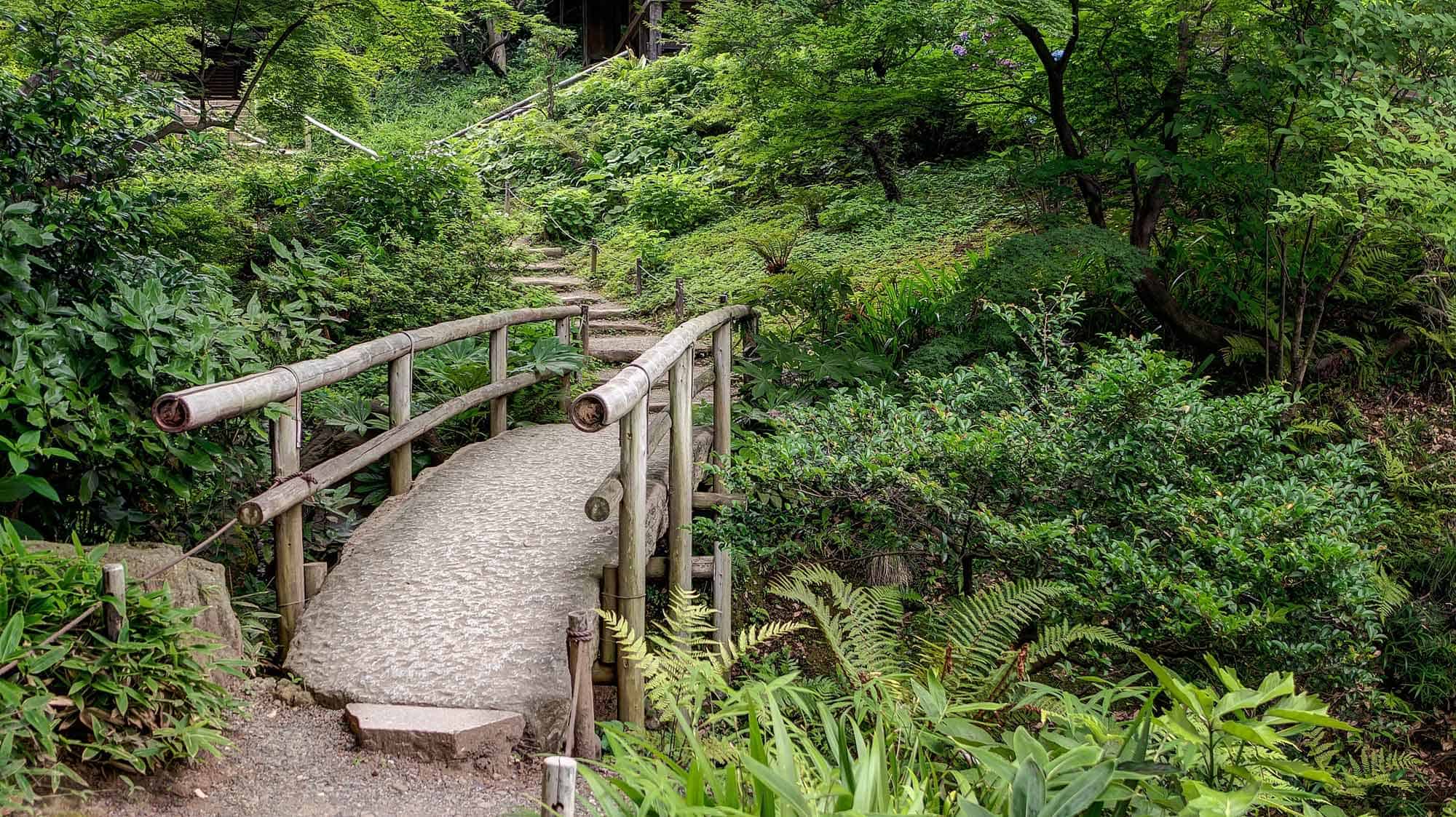 Sankei-En Gardens What To Do In Yokohama