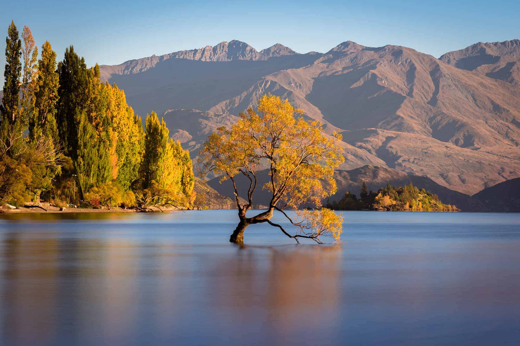 imagine travel new zealand