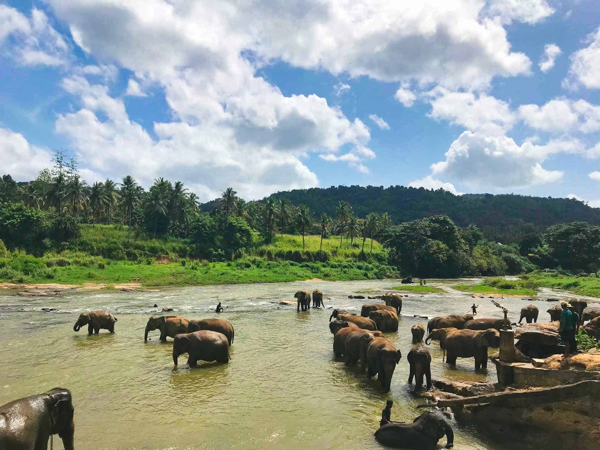 TRAVEL to SRI LANKA Tips and Information Guide (2024)