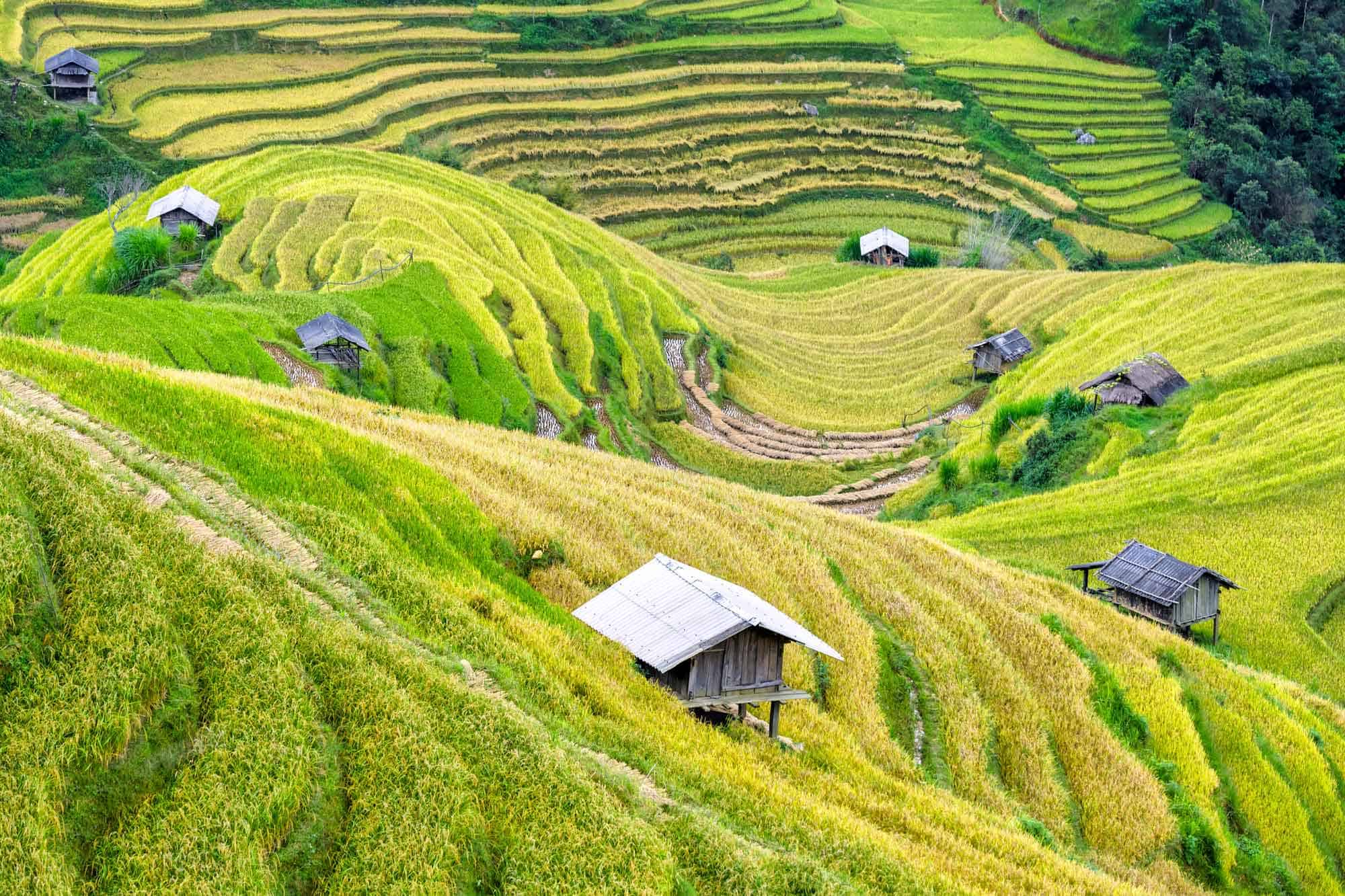 sapa vietnam trek