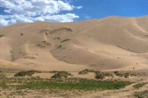 Nomadasaurus Adventure Mongolia Tour