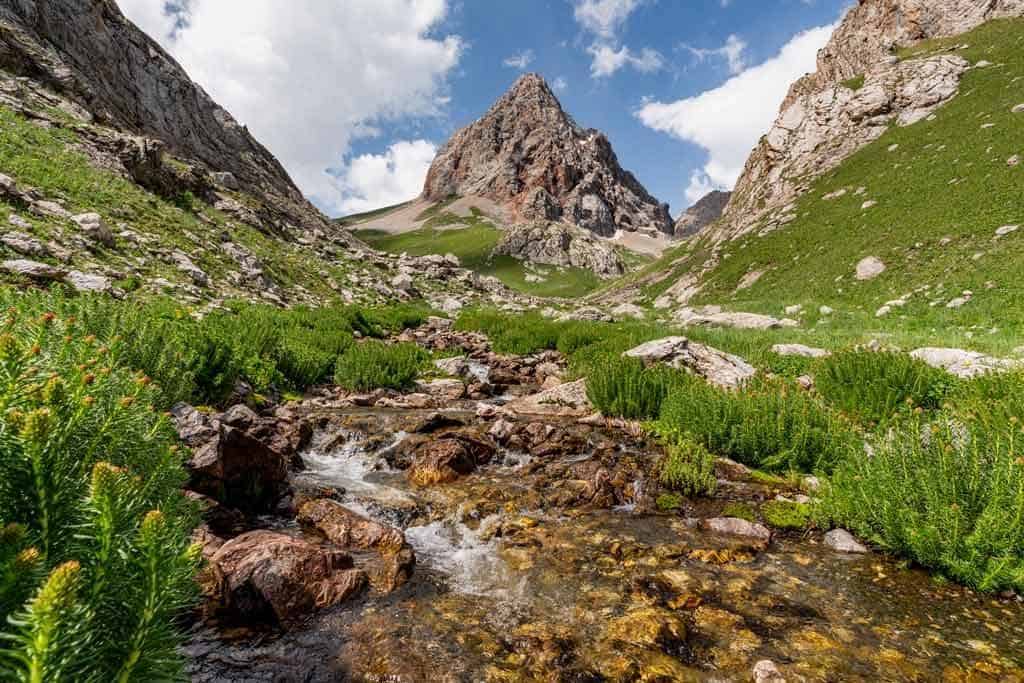 Stream With Mountains