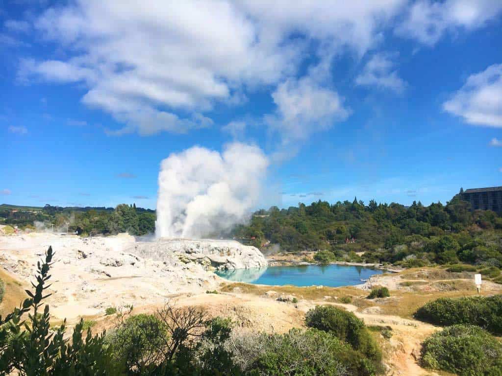 tourist activities in rotorua