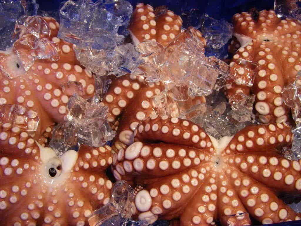 Fresh Octopus On Display At Omicho Market