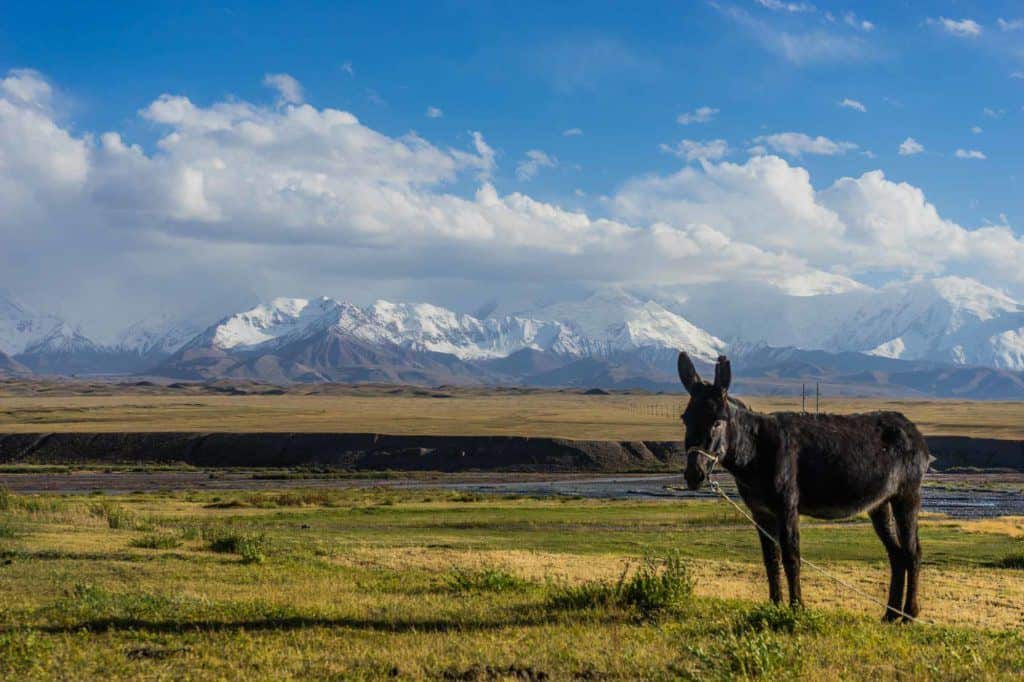 Sary Mogol Kyrgyzstan