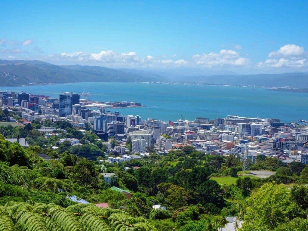 City Views Things To Do In Wellington