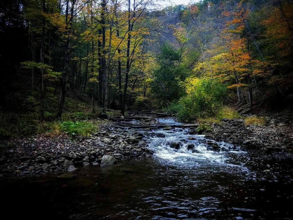 Views Along The Bruce Trail In Hamilton Ontario