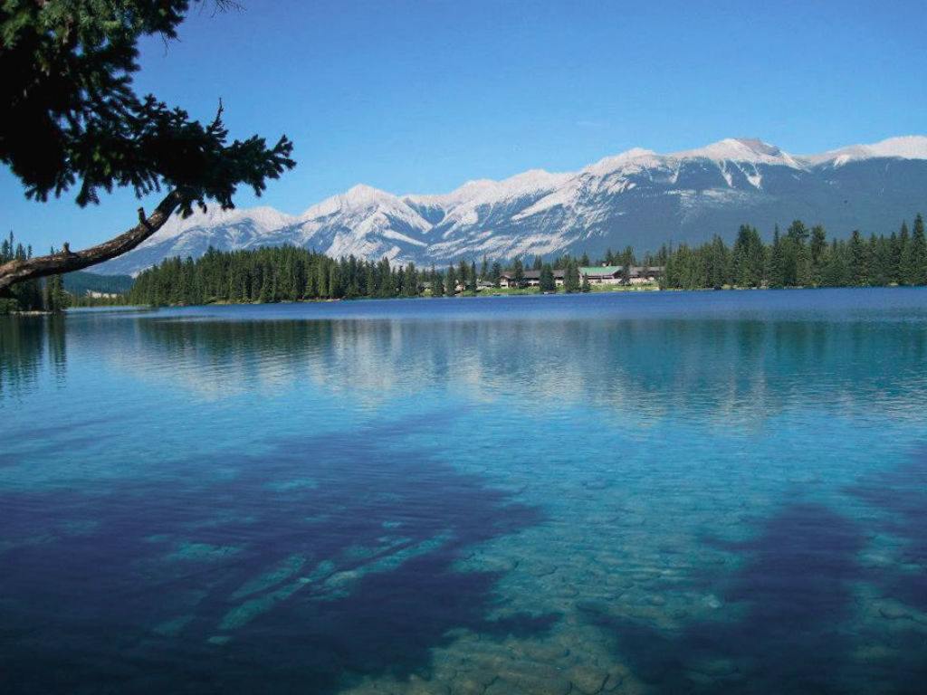 Lac Beauvert Jasper Canada