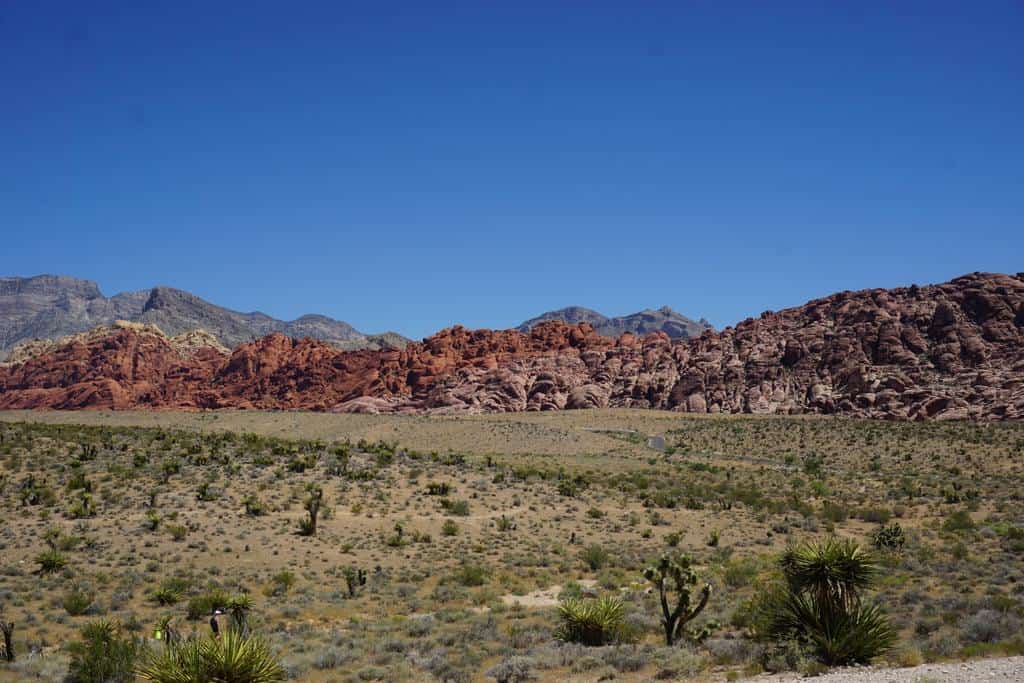 Red Rock Canyon