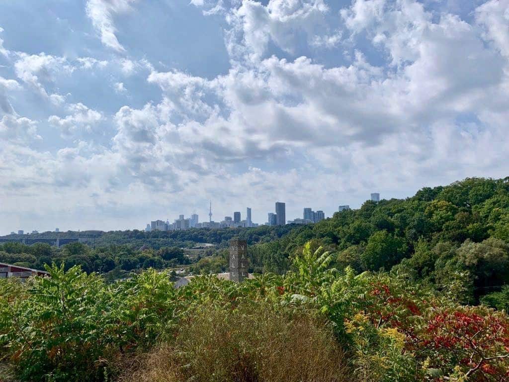 Views From The Trails At Evergreen Brickworks