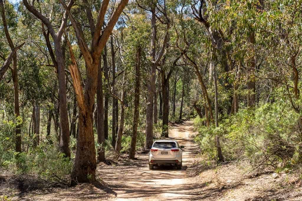 Murray River Drive