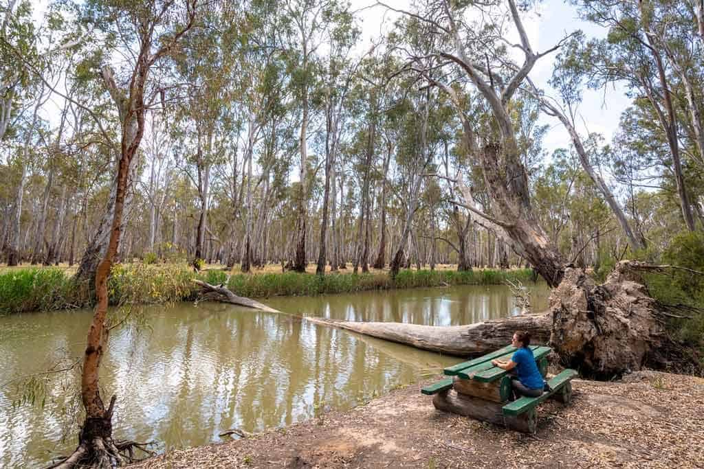 Gulpa Creek Walk