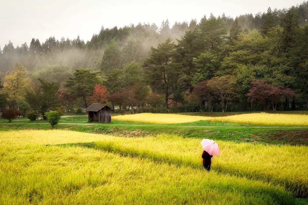 Alesha In Field