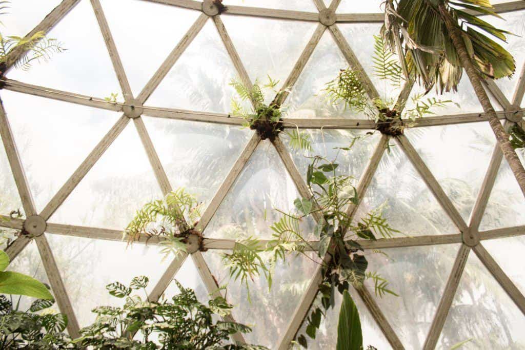 Botanic Gardens