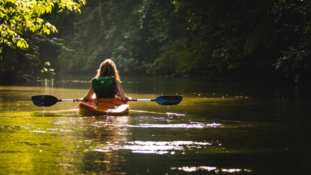 Kayaking The Everglades