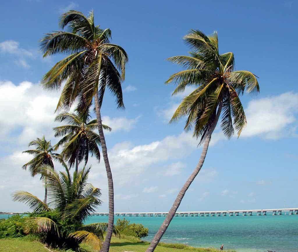 Bahia Honda Key West Florida